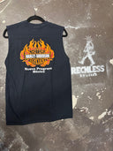 Harley Davidson Nuevo Progresso - Reckless Swagger
